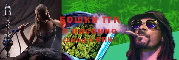 прущие грибы Арсеньев