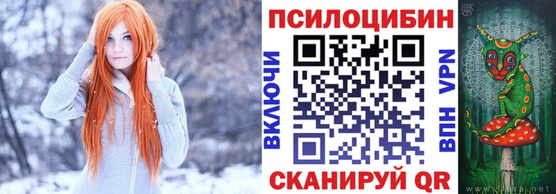 Псилоцибиновые грибы Cubensis  Бронницы 