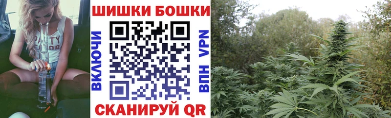Конопля SATIVA & INDICA  маркетплейс состав  Бронницы 